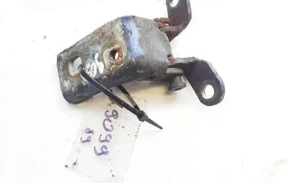 Rear door lower hinge