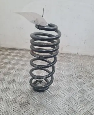 Volkswagen PASSAT B6 Rear coil spring