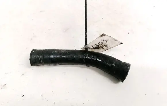 Ford Focus Engine coolant pipe/hose