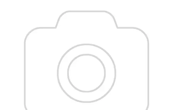 Ford Mondeo MK I Front indicator light