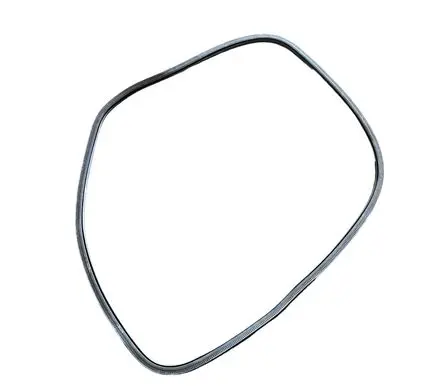Ford Edge II Front door rubber seal