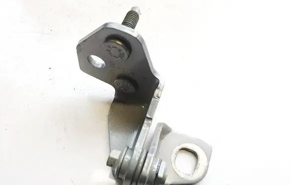 Rear door lower hinge