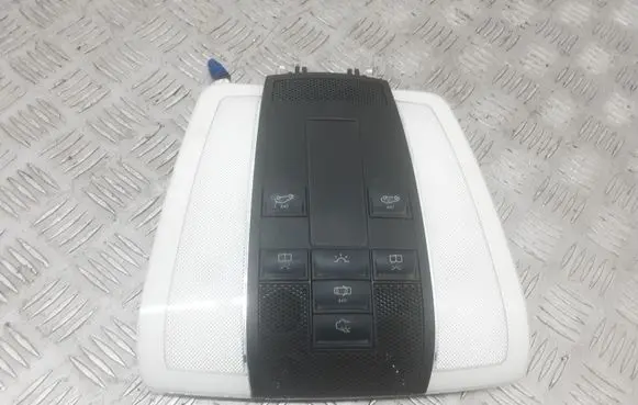Mercedes-Benz E C207 W207 Front seat light A0128206610 A2048200823