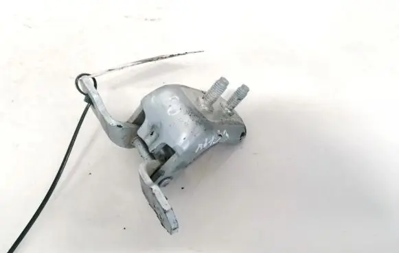 Renault Espace - Grand espace IV Rear door lower hinge
