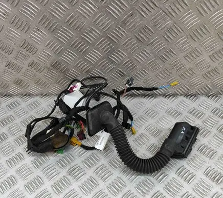 Front door wiring loom