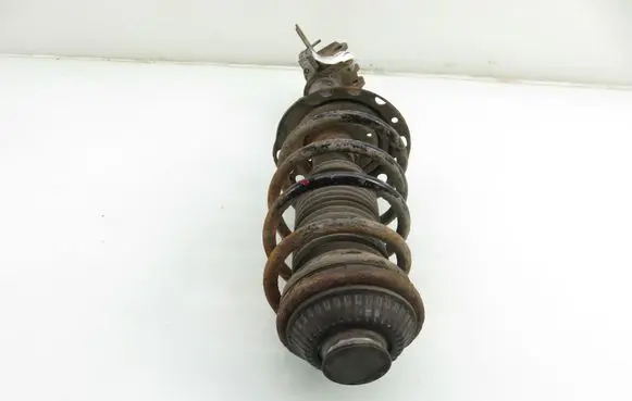 Opel Astra H Front shock absorber with coil spring 24466539