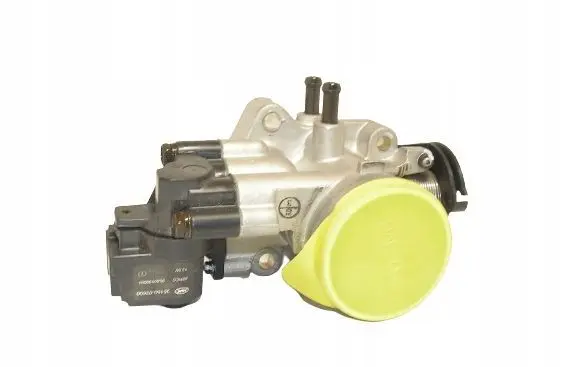 Hyundai Getz Throttle valve 3510002900