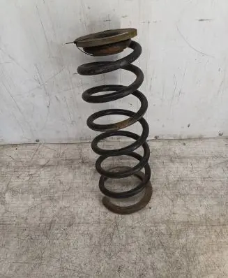 Peugeot Expert Rear coil spring