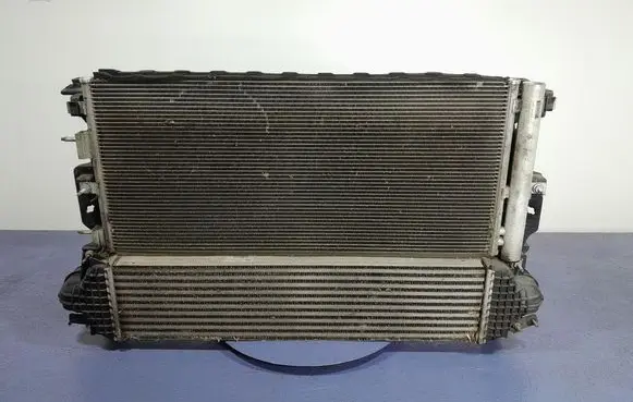 Ford Galaxy Coolant radiator DG93-8005-BD