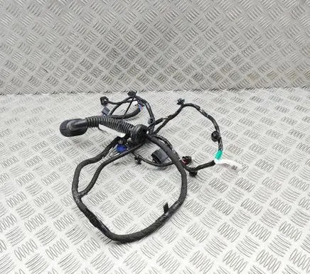 Tesla Model 3 Highland Front door wiring loom 189732202B
