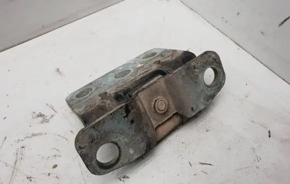 Tailgate/trunk/boot hinge