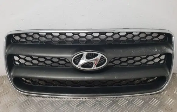 Hyundai Santa Fe Front grill