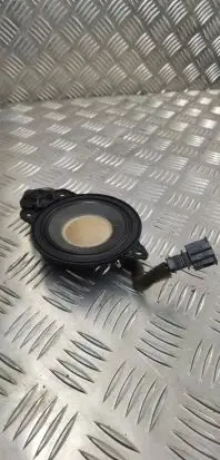 Panel speaker