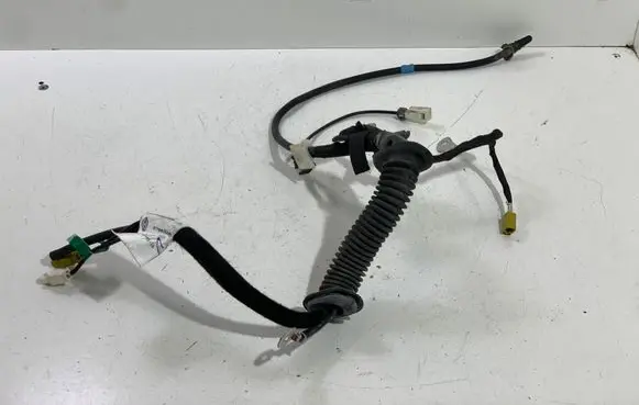 Other wiring loom
