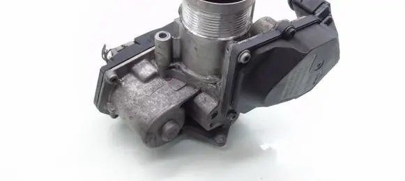Throttle body valve