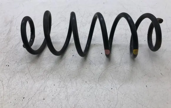 Rear coil spring