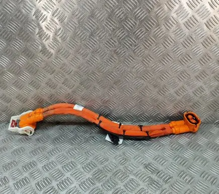 Audi E-tron GT Other wiring loom 9J1971131A