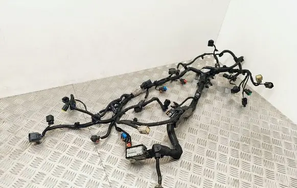 Engine installation wiring loom