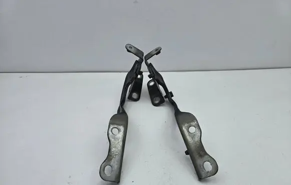 Toyota C-HR I Engine bonnet/hood hinges