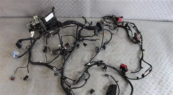 Ford Fiesta Positive cable (battery) H1BT14290 C13261175 13170425000