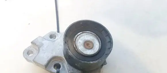 KIA Sportage Generator/alternator belt tensioner 979143