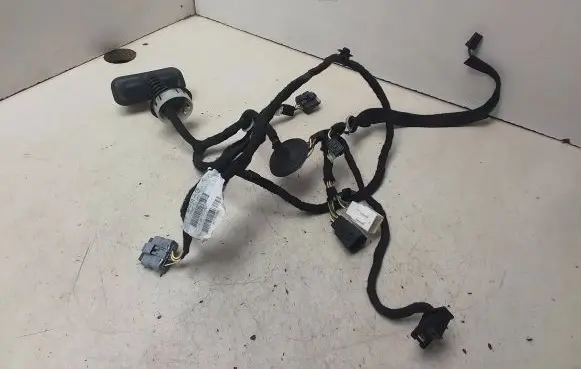 Citroen C4 II Front door wiring loom 9675648880