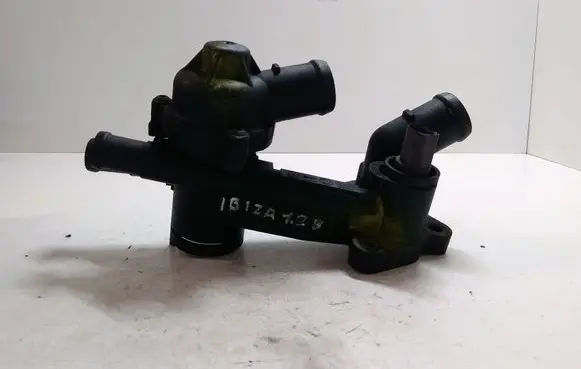 Thermostat/thermostat housing