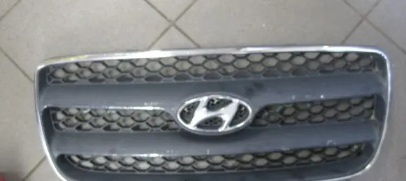 Hyundai Santa Fe Front grill 865612B010