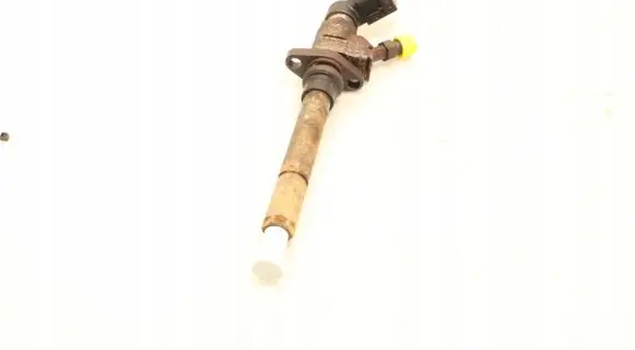 Ford Kuga I Fuel injector 9657144580