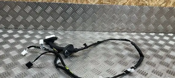 Lexus UX Rear door wiring loom 8215476070