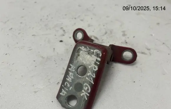 Toyota C-HR I Rear door lower hinge