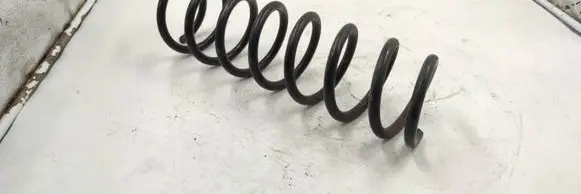 Rear coil spring