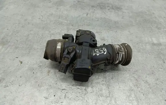 Peugeot 307 Throttle body valve