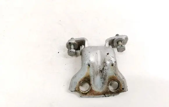 Volvo S40, V40 Rear door lower hinge