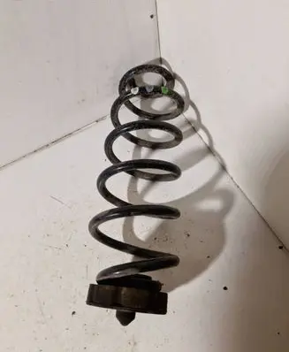 Rear coil spring