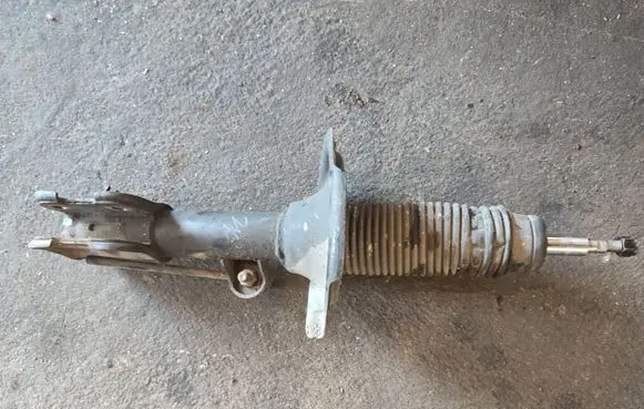 Hyundai Santa Fe Front shock absorber/damper