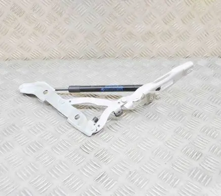 Tailgate/trunk/boot hinge