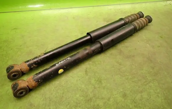 Dacia Logan II Rear shock absorber/damper 562103901R