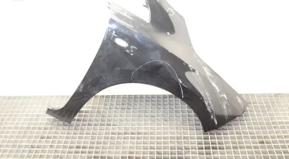 Nissan Leaf I (ZE0) Fender