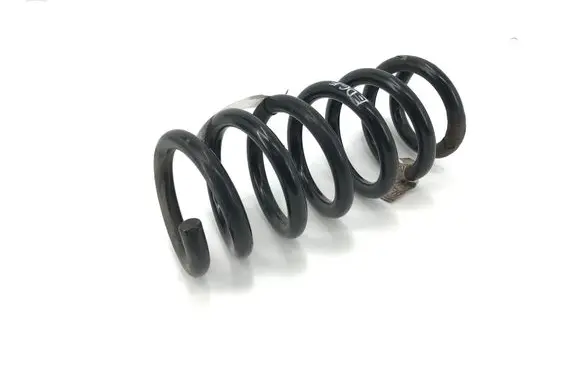 Ford Edge II Rear coil spring 