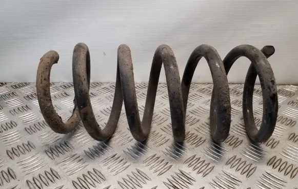 Front coil spring