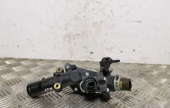 Thermostat/thermostat housing