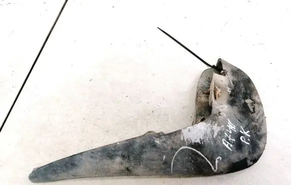 Ford Focus Front mudguard 98AXF16L