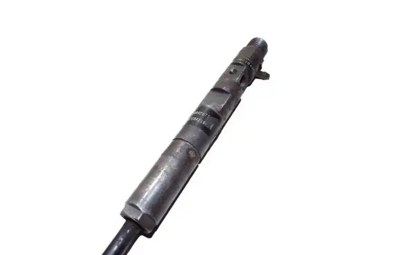 Renault Kangoo I Fuel injector 166001137R