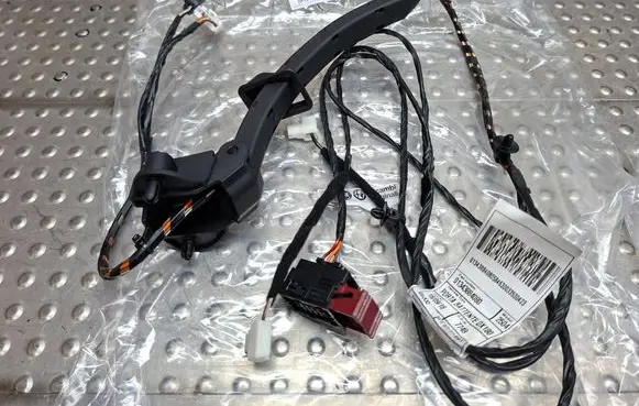 Rear door wiring loom