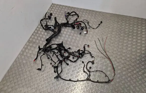 Renault Scenic IV - Grand scenic IV Other wiring loom 242967242R
