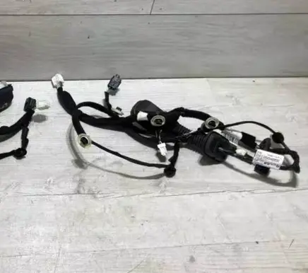 Rear door wiring loom