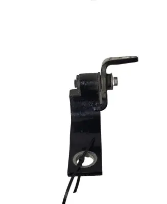Rear door lower hinge