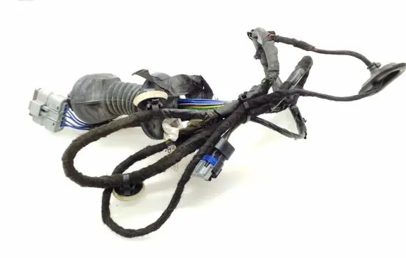 Rear door wiring loom