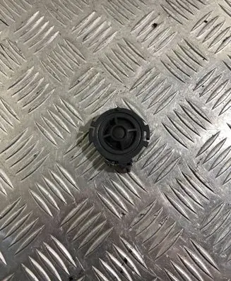 Front door high frequency speaker